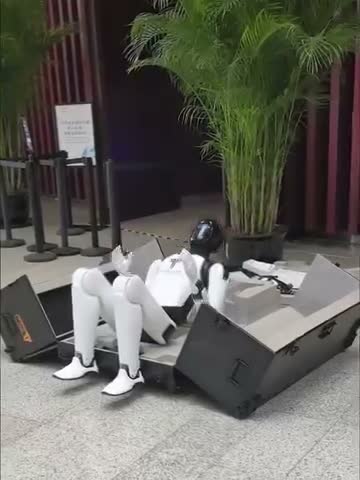 shared video